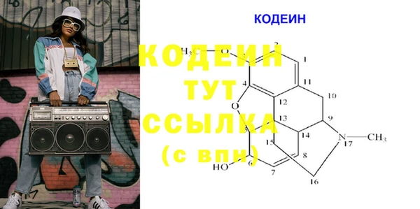 дмт Инта