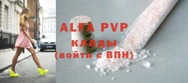 дмт Инта