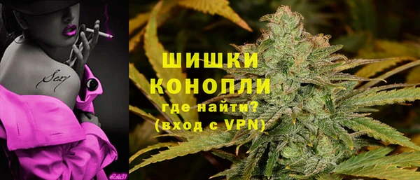 дмт Инта