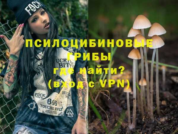 COCAINE Инсар
