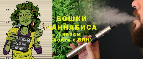 дмт Инта