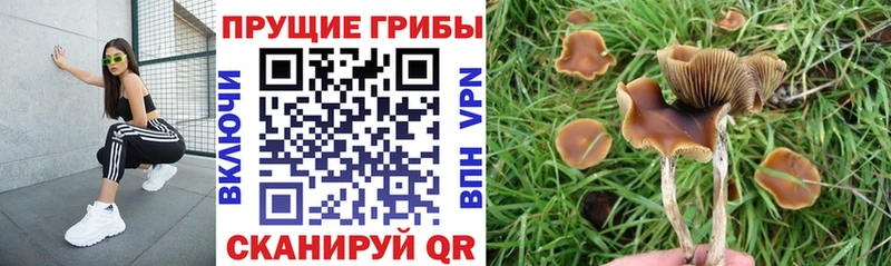 Галлюциногенные грибы мухоморы  купить наркоту  Нарткала 