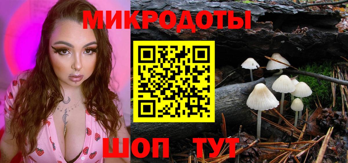 Нарткала  Галлюциногенные грибы прущие грибы  Вход с VPN  Галлюциногенные грибы мухоморы 