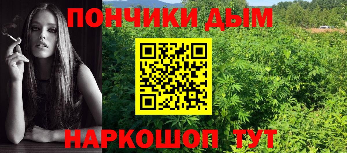 Конопля индика  Бошки Шишки план  Нарткала  Бошки Шишки AK-47  Вход с VPN 